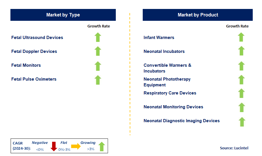 Neonatal Care Equipment and Fetal (Labor & Delivery) by Segment